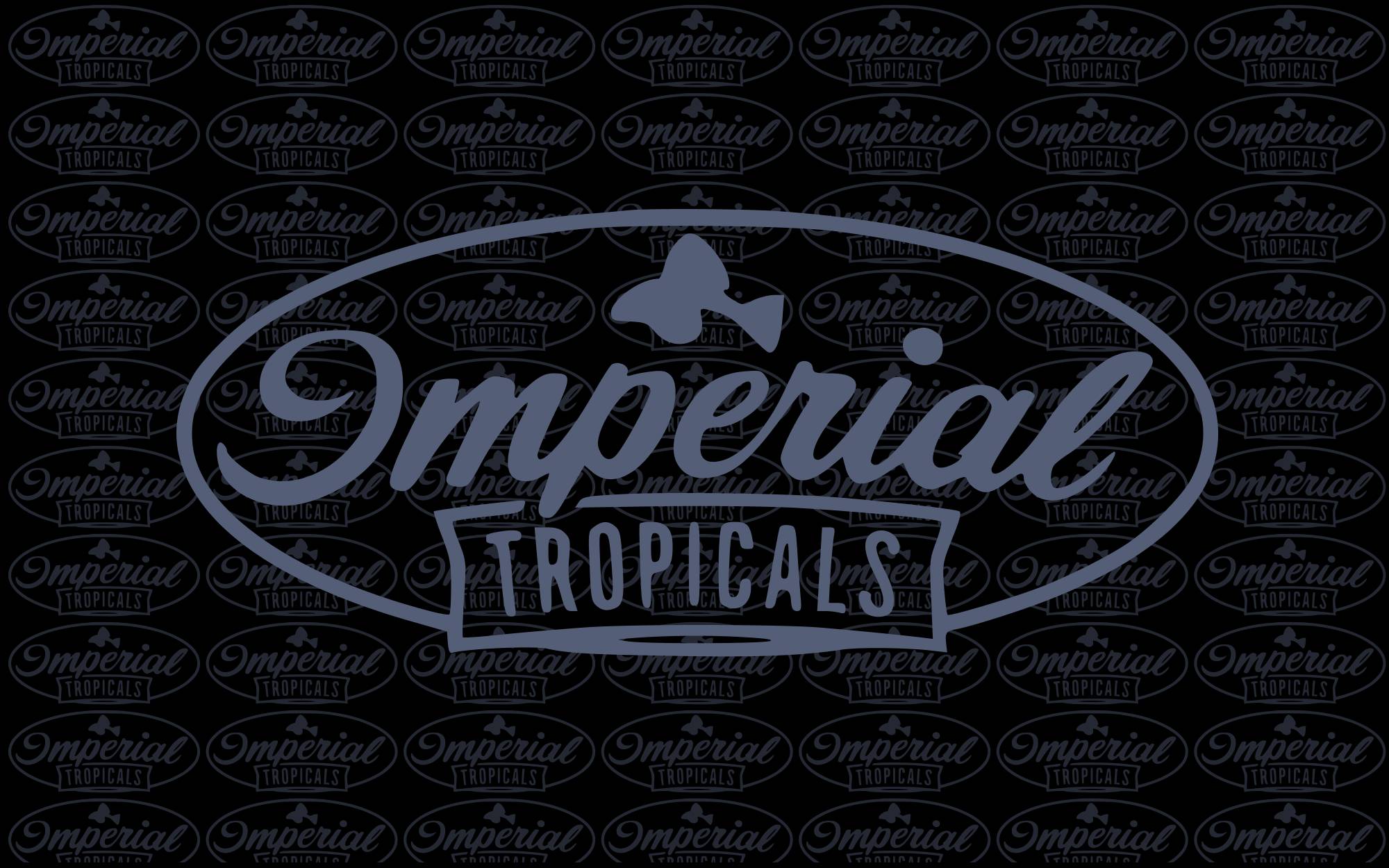 Bulgarian Lilac Angelfish